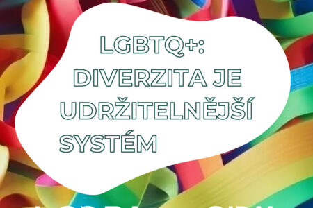 Diverzita na pracovišti