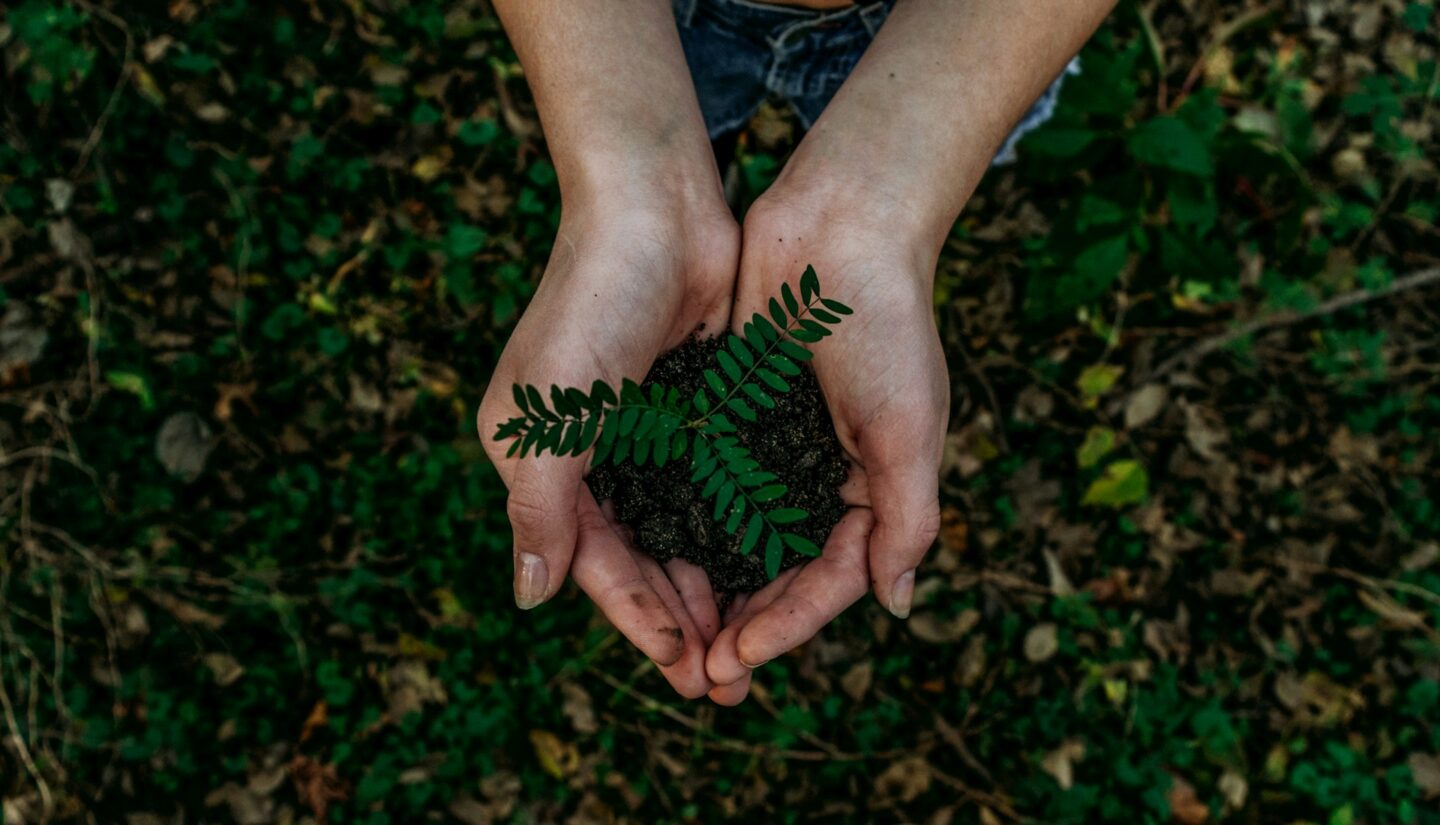 Aktualizovaná evropská legislativa ke greenwashingu: Úprava Směrnic o nekalých obchodních praktikách a Směrnice o právech spotřebitelů