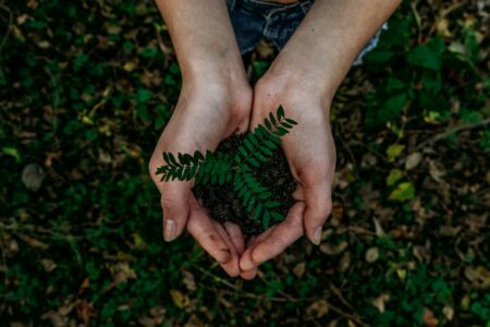 Aktualizovaná evropská legislativa ke greenwashingu: Úprava Směrnic o nekalých obchodních praktikách a Směrnice o právech spotřebitelů